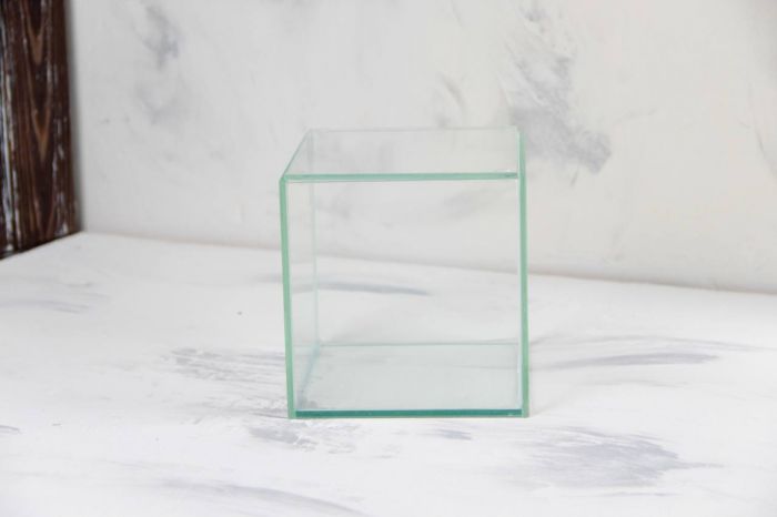 Креветочник 9 151515см стекл. кришка  3л  4мм 