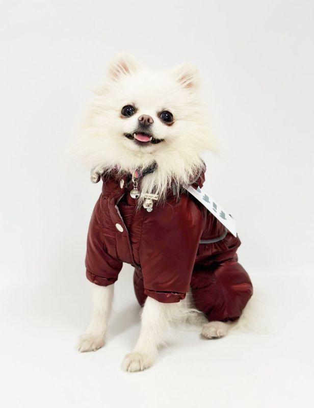 Комбінезон Принцеса на силіконі (дівчинка) XS