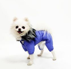 Комбінезон Лорд на силіконі (хлопчик) М