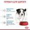 АКЦІЯ Royal Canin Mini Puppy сухий корм для цуценят малих порід 1,6 кг + 400 г 
