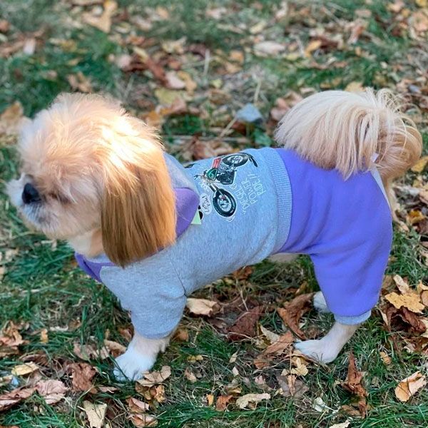 Комбінезон Байк трикотаж на флісі (хлопчик) S2