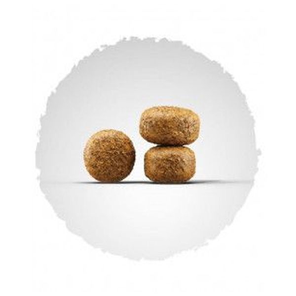 Josera Balance для малоактивних і літніх собак 900г