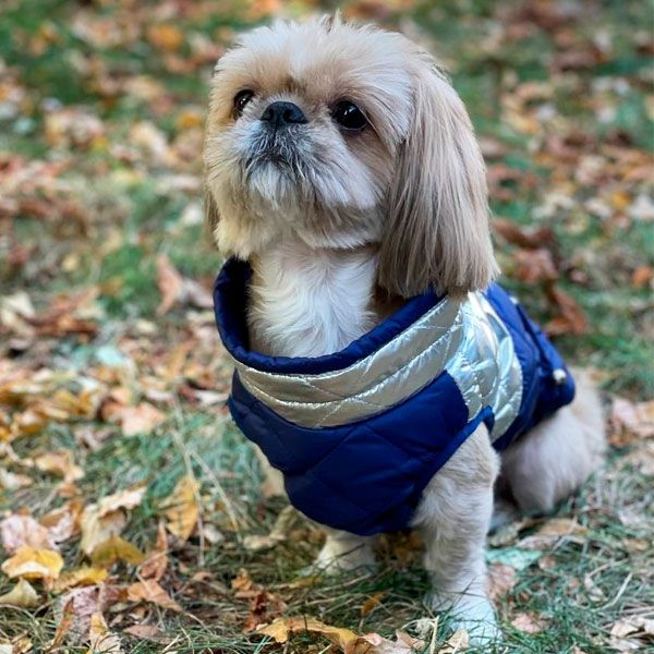 Жилет Нільс стьобаний силікон (хлопчик) S