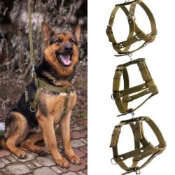 Шлея економ одинарна 35 мм