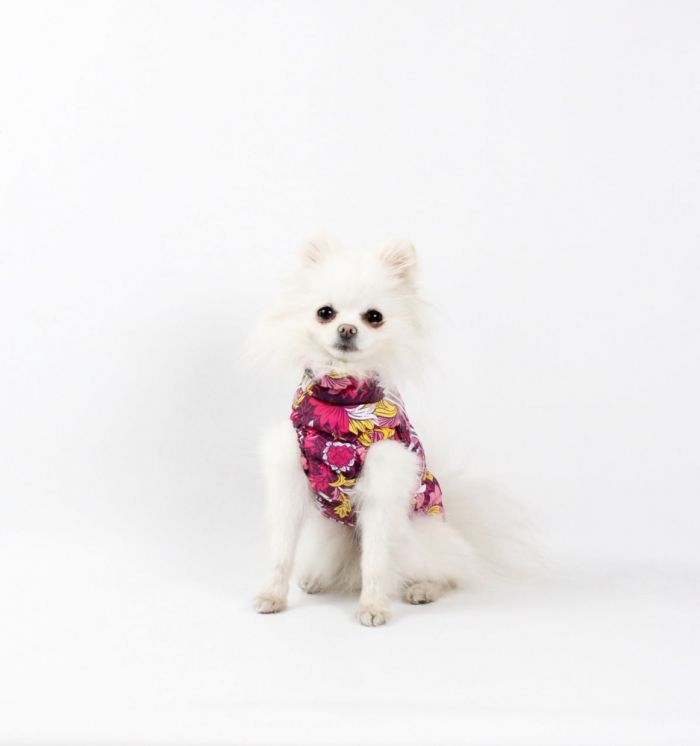 Набір Фрезія жилет силікон + комбінезон велсофт бордо (дівчинка) М