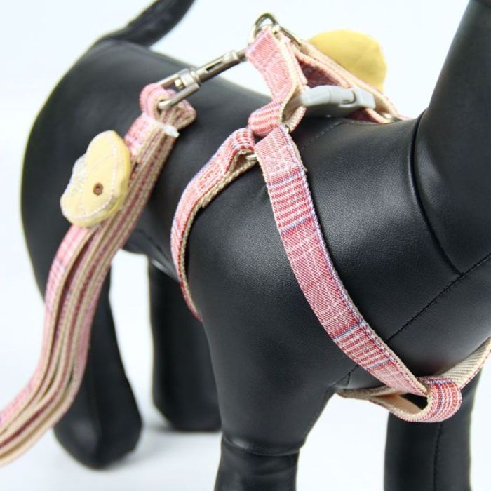 Шлея з повідцем рибка 1,5 х120 см клітинка Трояндовий