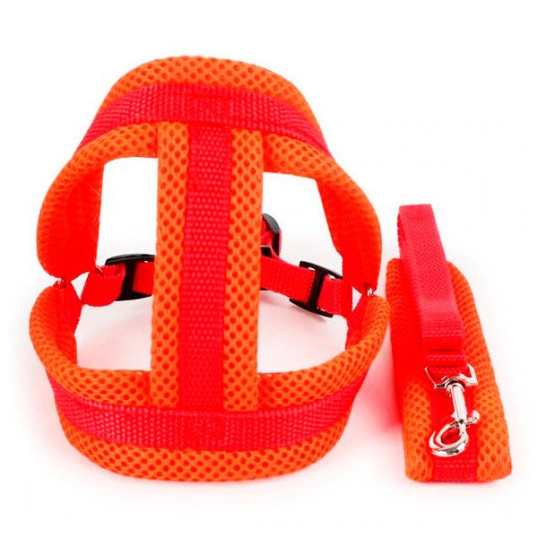 Шлея сітка і поводок, L(550-60120 см) Помаранчево-червоний