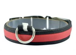 Нашийник Світиться USB нейлон, L (2,5 см41-52 см) червоний