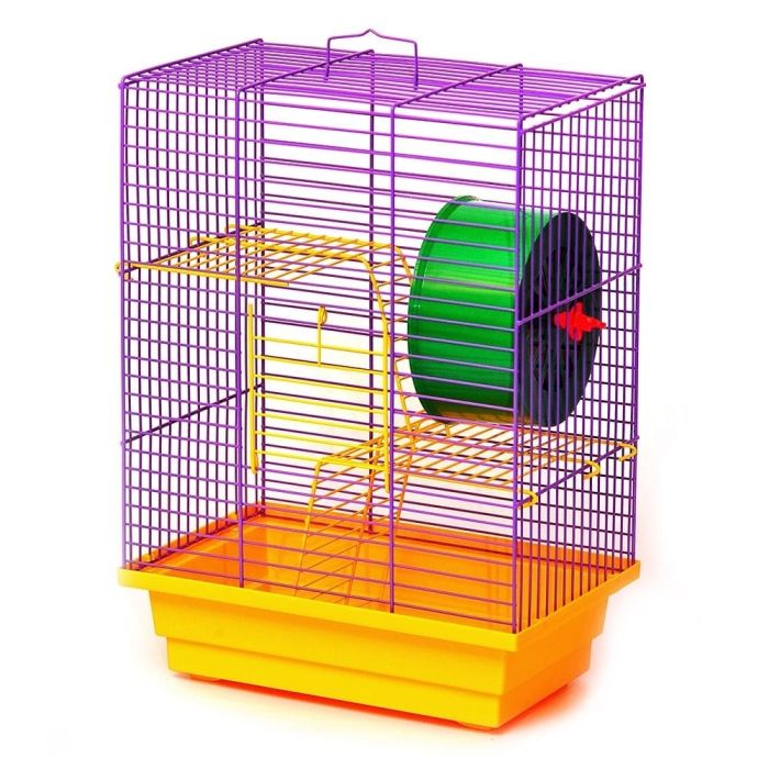 Клітка Лорі будинок Фарба