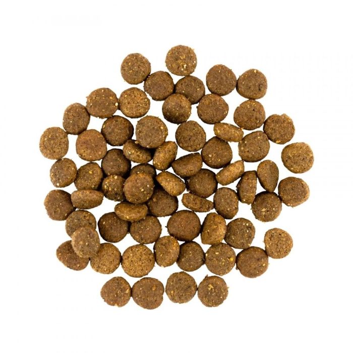 Savory Сухий корм для цуценят усіх порід зі свіжою індичкою та куркою 1 кг