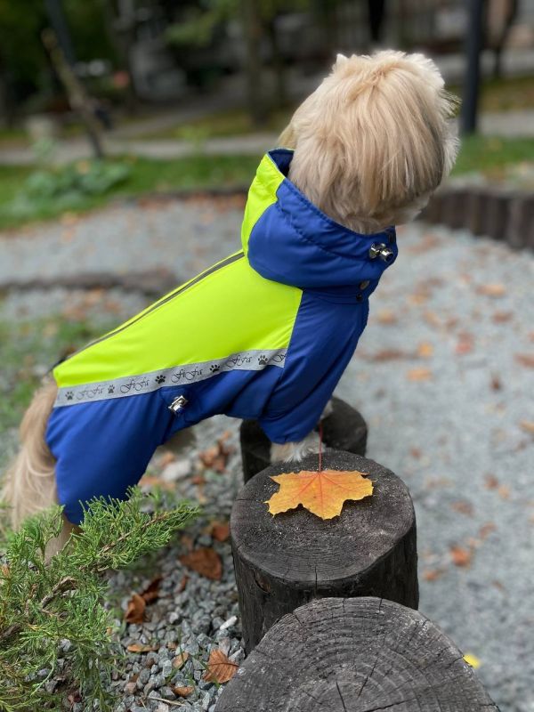 Промінь комбінезон для собак хлопчиків на силіконі XS