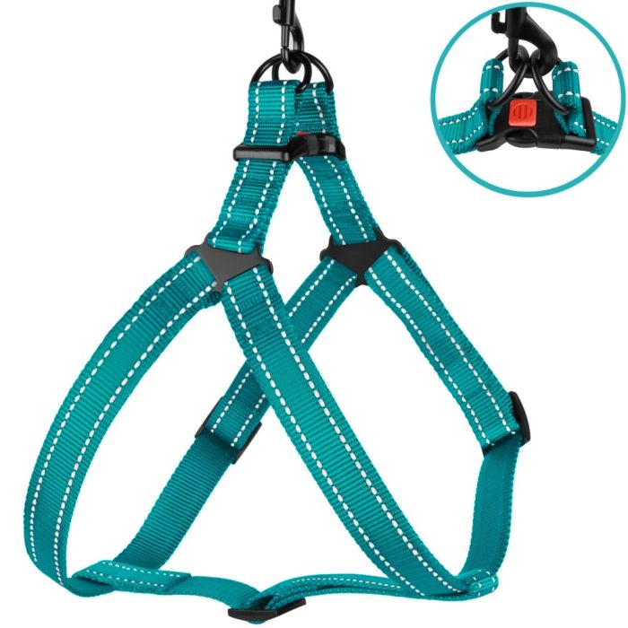 Шлея для собак BronzeDog Бірюза пластиковий фастекс 1225 70Т 20мм (45-56см)