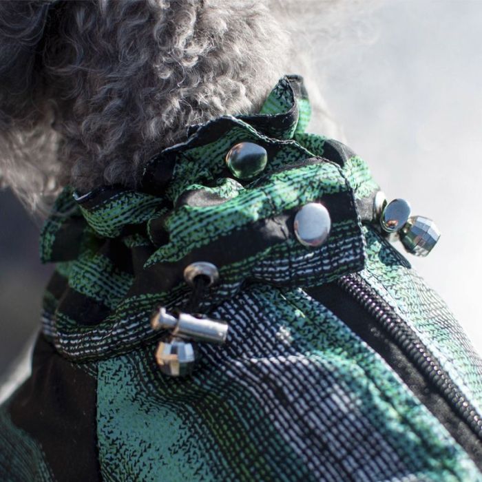 Комбінезон для собак хлопчиків Ківі на тонкій підкладці XXS