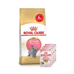АКЦІЯ Royal Canin Kitten British Shorthair корм для кошенят британська короткошерста 2 кг + 4 паучі 