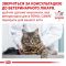 АКЦІЯ Royal Canin Gastrointestinal для кішок при розладах травлення набір корму 2 кг + 4 паучі 