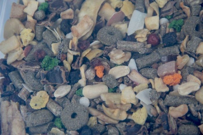 LoLo pets Корм для кроликів і гризунів відро фруктовий 1,8 кг 71065 