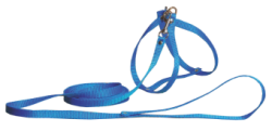 Шлея вісімка з повідцем капрон 20-40см, 32-40см довжина повідця 130см Синій