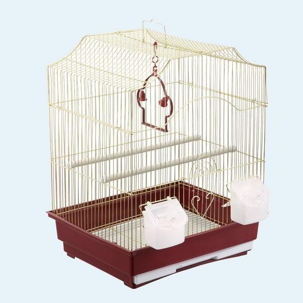 Клітка А412 Gold золото. Золота Клітка