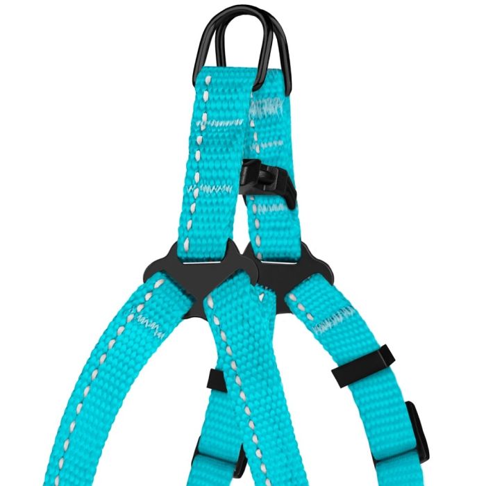 Шлея для собак Bronze Dog блакитна Пластикова фастекс 1222 68Т 10мм (33-40см)