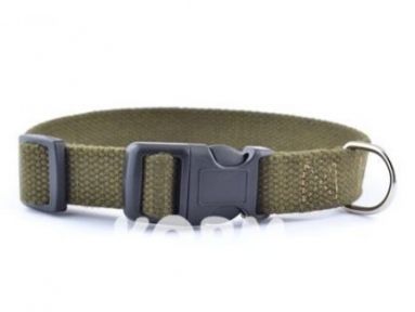 Нашийник брезентовий Фастекс Franty 201021 15мм22-31см S