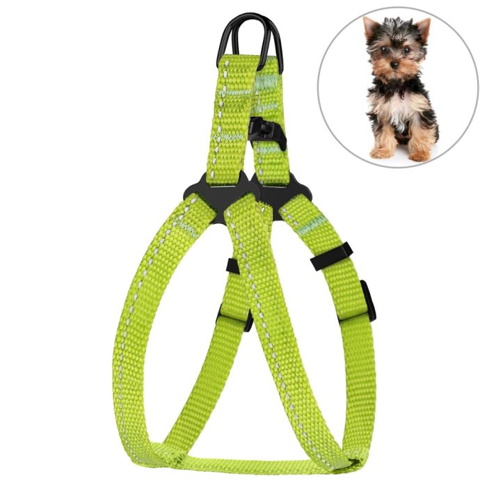 Шлея для собак BronzeDog салатова пластиковий фастекс 1305 68Т 10мм (24-30см)