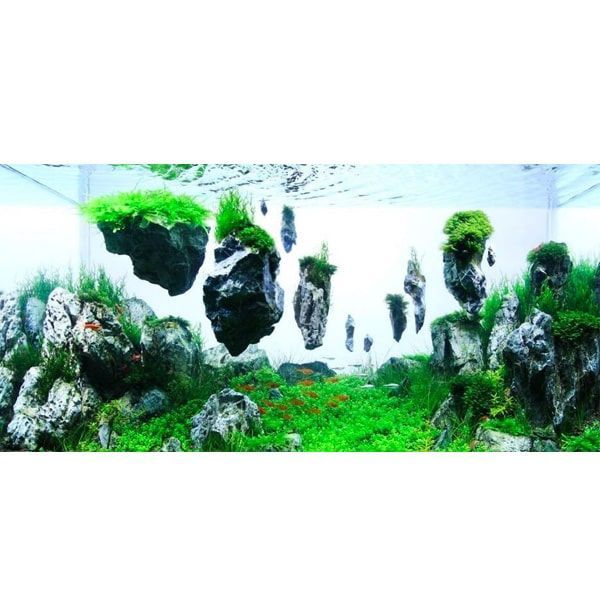 Декорація в акваріум летять камені 21х13см