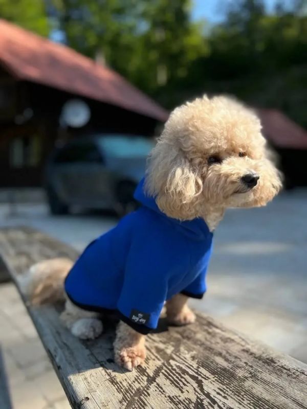 Худі Blue Digi Dog для собак з кишенею, Синя. XL