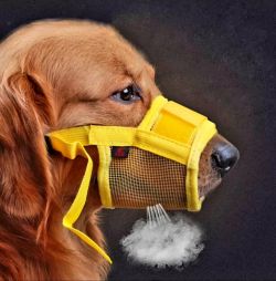 Намордник для собак з сіткою L 18-24 см