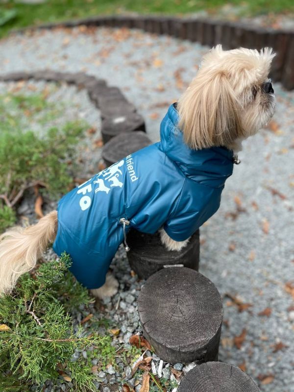 Партнер комбінезон для собак хлопчиків на силіконі, хутро M1