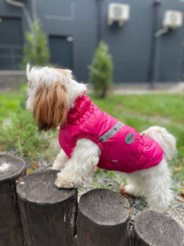 Класика жилет для собак дівчаток на силіконі XXS