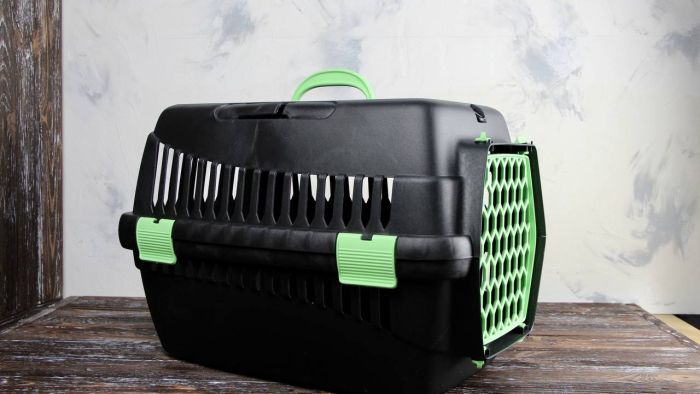 Переноска для тварин чорна пластик салатові двері 49х35х32 см до 5 кг