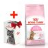 Акція сухий корм Royal Canin Kitten Sterilised 2кг + контейнер-корм для стерилізованих кошенят 
