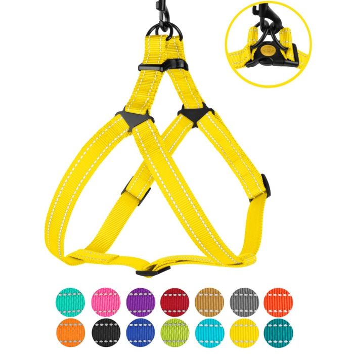 Шлея для собак BronzeDog жовта пластиковий фастекс 1228 70Т 25мм (58-71см)