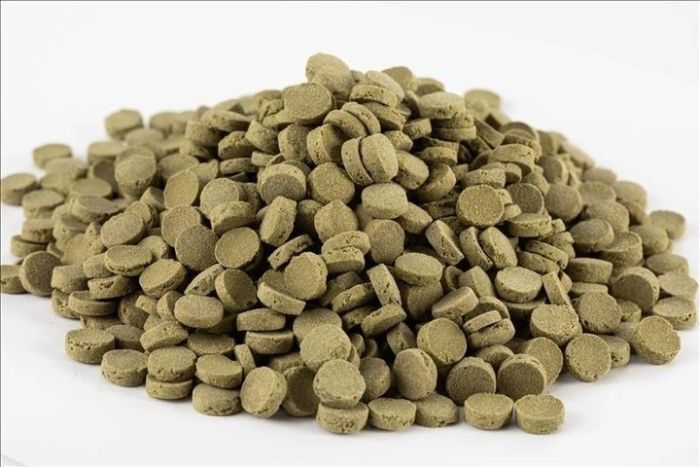 Акваріус Меню для анциструсов 300 г