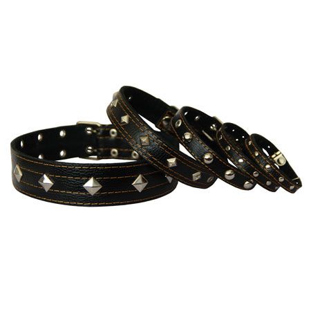 Нашийник для собак Шкіряний з прикрасами, чорний 23-32 см