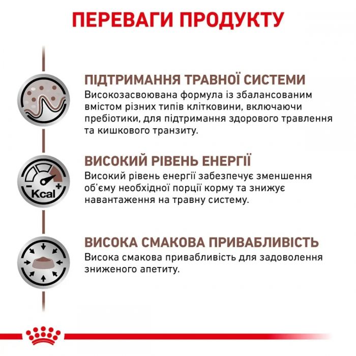 АКЦІЯ Royal Canin Gastrointestinal для кішок при розладах травлення набір корму 2 кг + 4 паучі 