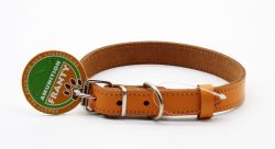 Нашийник Franty Style шкіра, 20 мм х 33-41 см помаранчевий