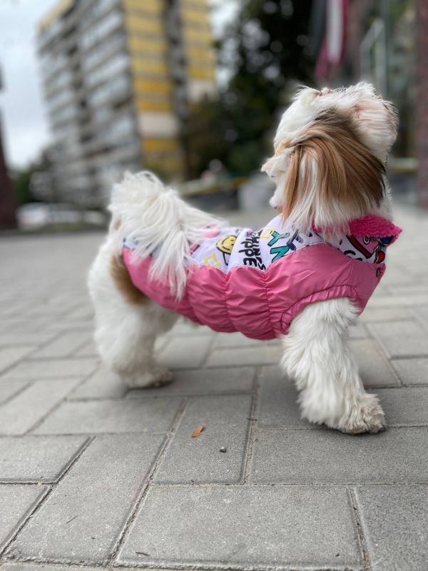 Марго жилет на овчині для собак дівчаток S1