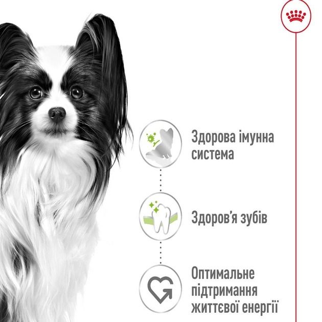 АКЦІЯ Royal Canin X-Small Adult сухий корм для дорослих собак дуже дрібних розмірів 3 кг + миска 