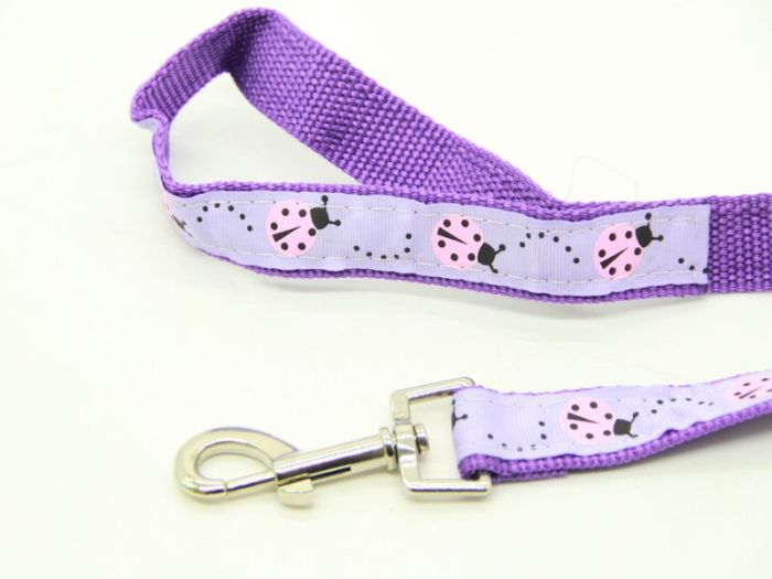 Шлея з повідцем дитячий малюнок 