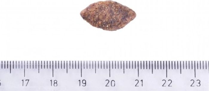 Brit, Сухий корм для собак  Brit Care Dog Grain-free Sensitive корм для собак з чутливим травленням беззерновим з олениною 1 кг