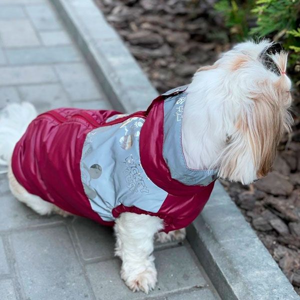 Жилет Бетті велсофт (дівчинка) S1