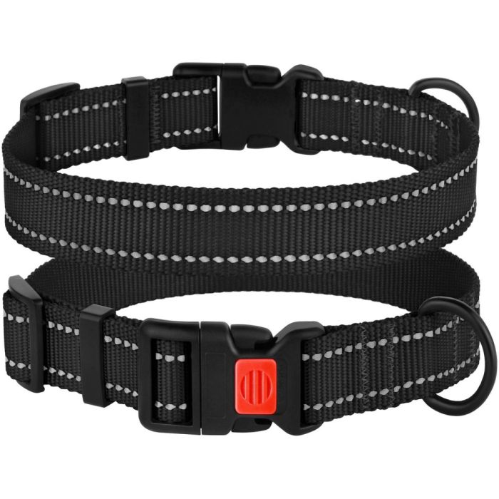 Нашийник ACTIVE нейлоновий зі світловідбиттям і пластиковою пряжкою чорний 25мм (43-66см)