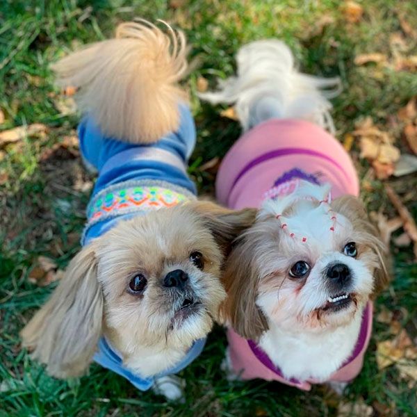 Комбінезон Колорит велюр (хлопчик) S1