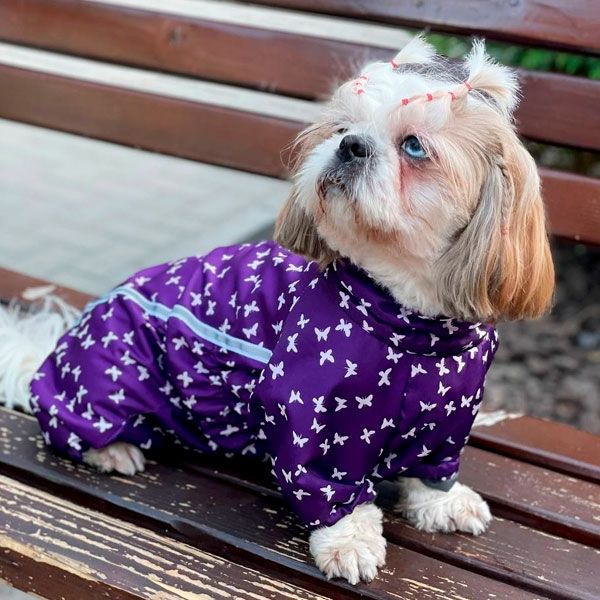 Комбінезон Лялечка на тонкій підкладці (дівчинка) S1