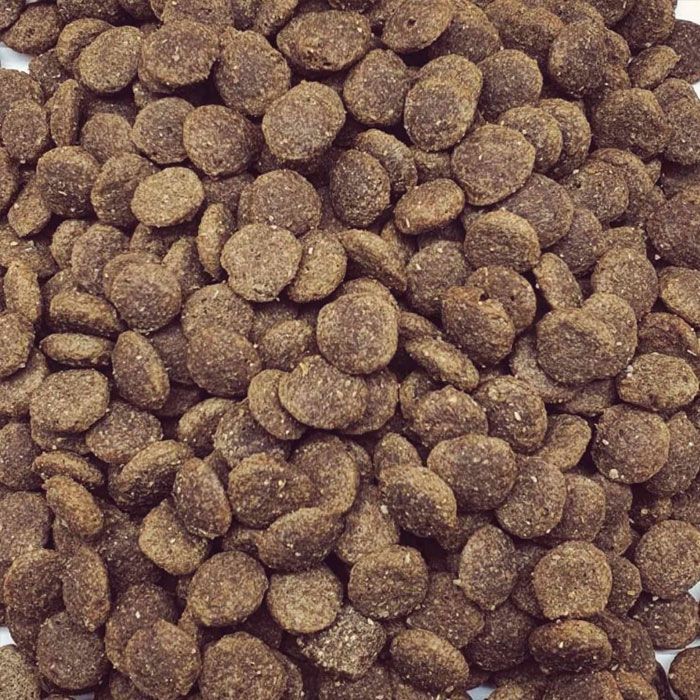 Fun Tasty корм для собак 7кг 