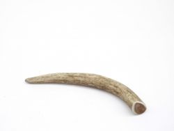 Ріг оленя Lucky dogs Середній. S 17-20 см.