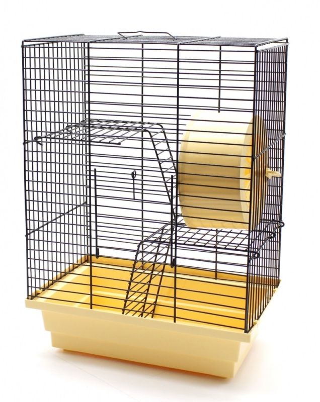 Клітка Лорі будинок Фарба