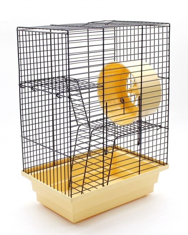 Клітка Лорі будинок Фарба