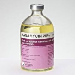 Канаміцин 25  аміноглікозидний антибіотик 100 мл 